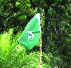 Flag of Pakistan hoisted in Assam 2008