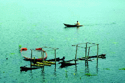 Rudrasagar Lake of Tripura