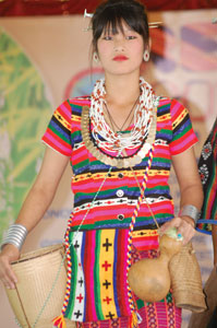 An Idu Mishimi woman in traditional attire