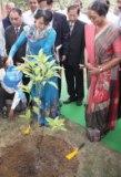 Suu Kyi Watering a sapling