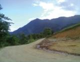 The protracted road that leads to the location of Atang Ane 