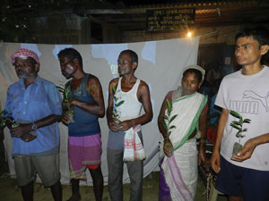 Saplings for planting by the residents of the village