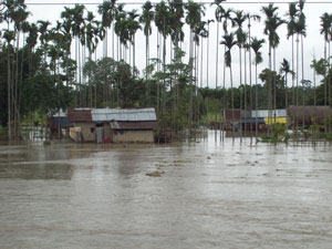 Annual floods - An endemic problem of Assam